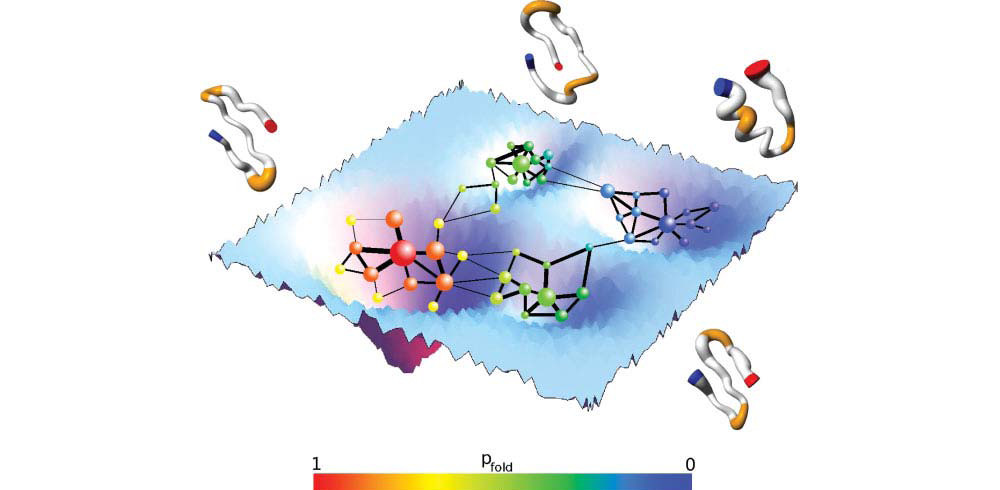 Wordom: A User-Friendly Program for the Analysis of Molecular Structures, Trajectories, and Free Energy Surfaces